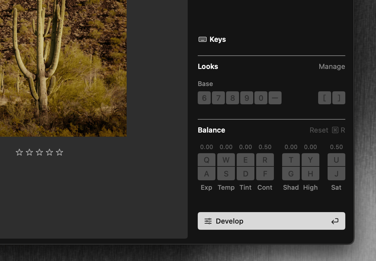 Balance and Look tools (chiclets) showing exposure, contrast, and other adjustment controls