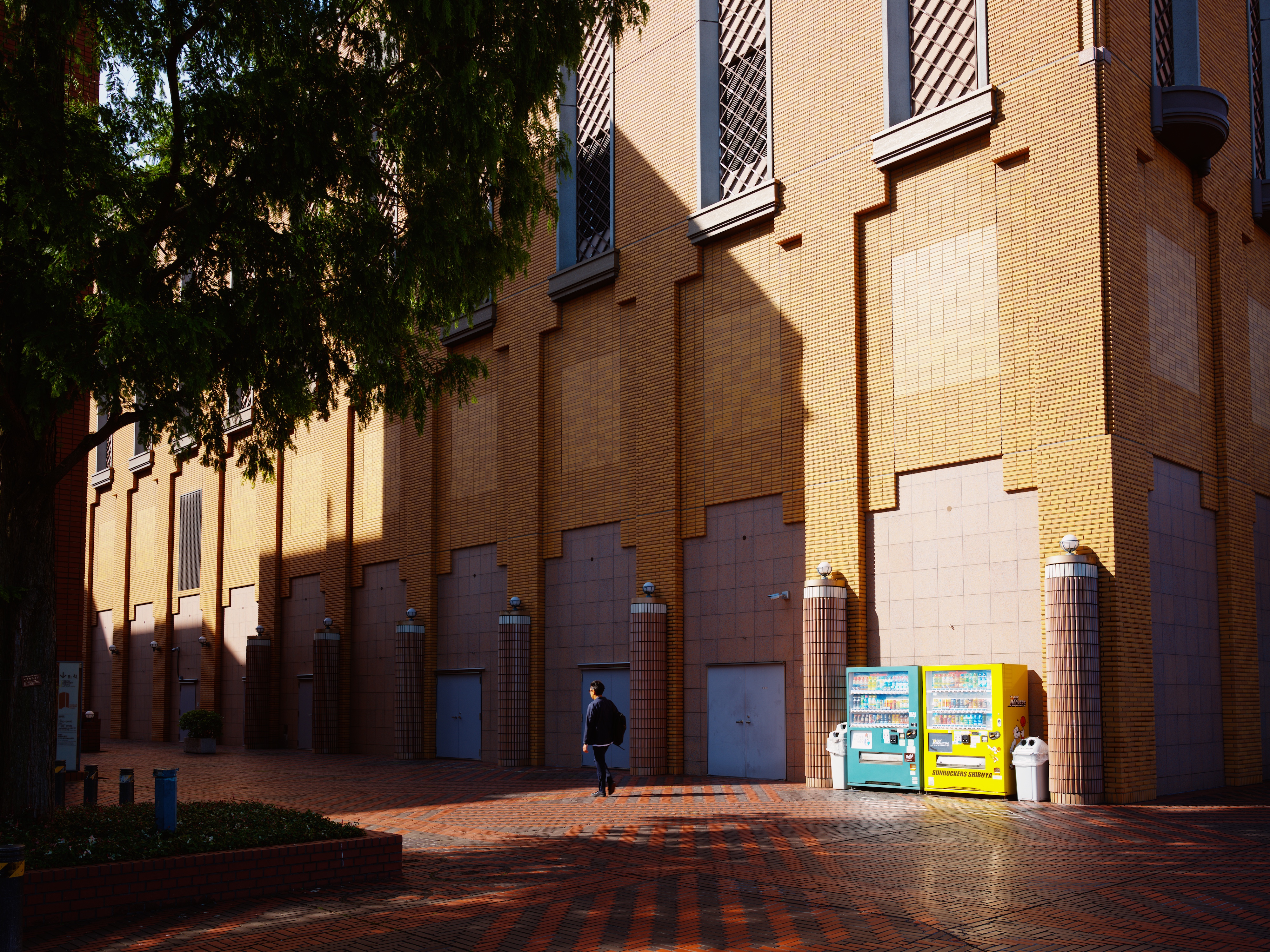A photograph of a person walking, set against a large brick wall.