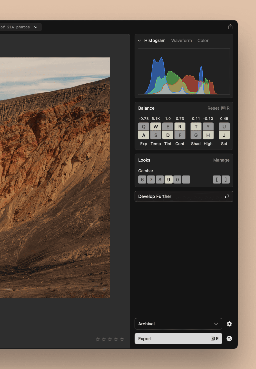The redesigned Inspector panel in View mode, showing Histogram, Balance, and Looks stacked in order of importance.